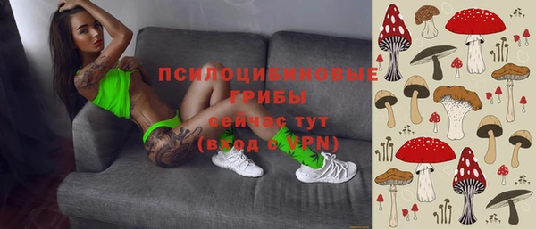 крисы Михайловка