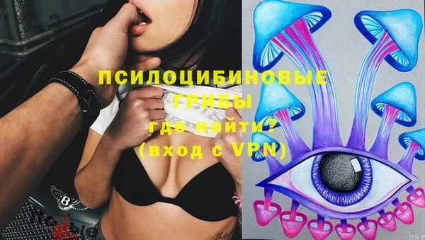 крисы Михайловка