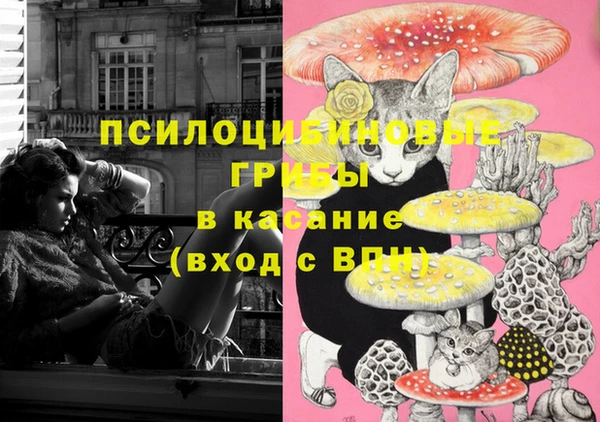 крисы Михайловка