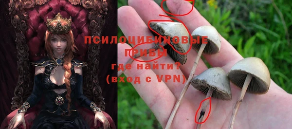 стаф Михайлов