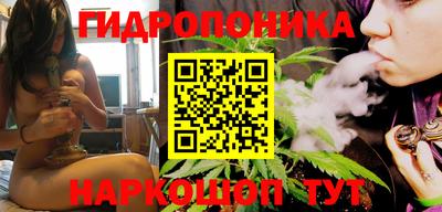 скорость Гатчина