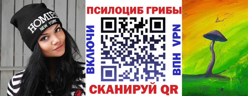 Галлюциногенные грибы мухоморы  это состав  Елабуга  купить наркоту 