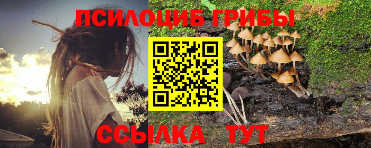 Галлюциногенные грибы MAGIC MUSHROOMS  Вход с VPN  Елабуга 