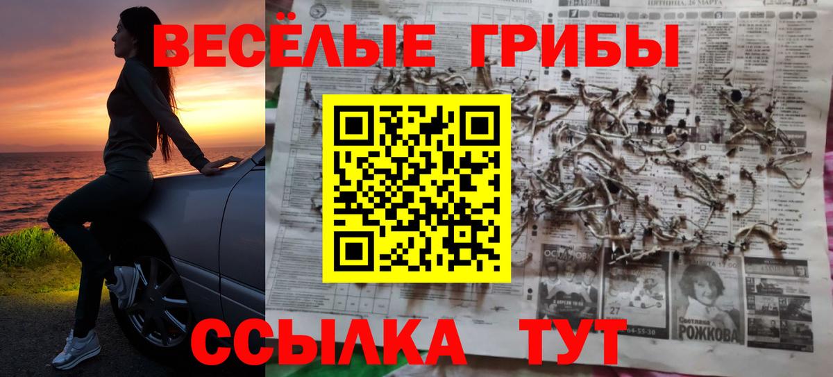 Псилоцибиновые грибы ЛСД  Елабуга 