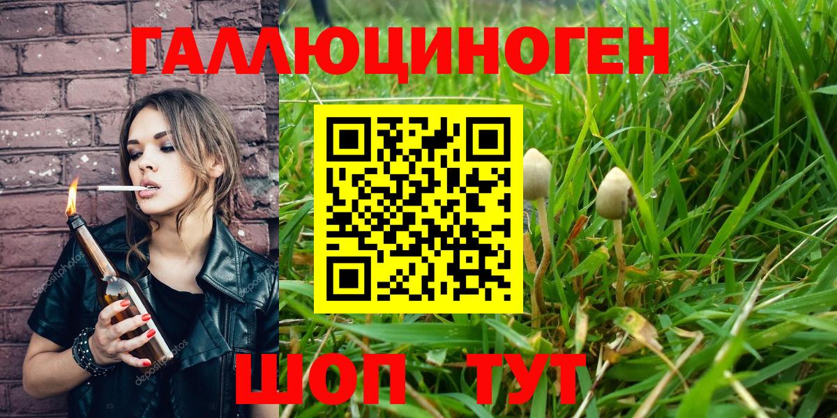 Галлюциногенные грибы ЛСД Елабуга